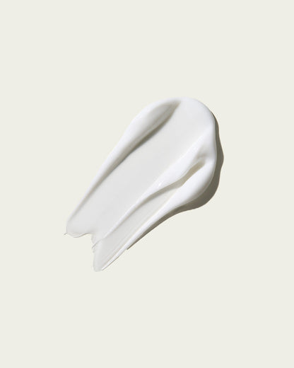 Sacred Santal - Nutrient-Rich Body Cream Refill