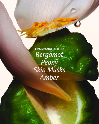 Bergamot Bond - Essentials Set